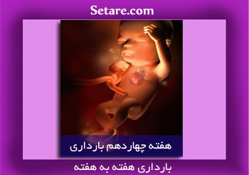هفته چهاردهم بارداری - کاهش تهوع صبحگاهی