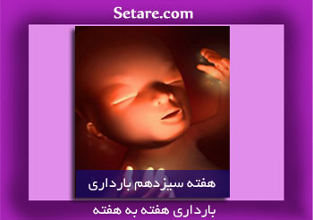 هفته سیزدهم بارداری - ورود به سه ماهه دوم بارداری