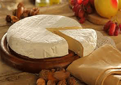 طرز تهیه انواع پنیر خانگی (۵ روش)