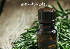 خواص روغن درخت چای چیست؟