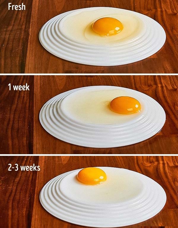 عکس تست تخم مرغ تازه 