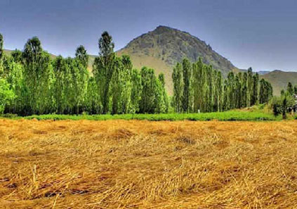 روستای هرانده کجاست؟