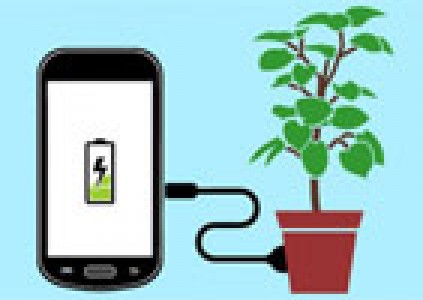 شارژ کردن موبایل با خاک گلدان