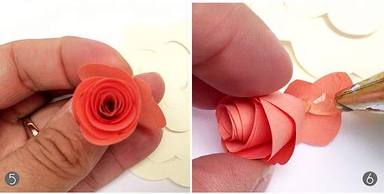 عکس روش درست کردن گل رز کاغذی مدل پیچ در پیچ قوس دار انتهای کار