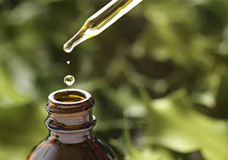 همه چیز درباره روغن خراطین؛ خواص، طریقه مصرف و مضرات آن