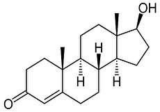 هورمون های مردانه؛ تستوسترون و اثرات آن بر روی بدن