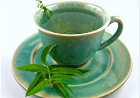 طرز تهیه دمنوش پونه + خواص دمنوش پونه