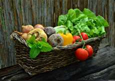 راهنمای پرورش سبزیجات ارگانیک در باغچه خانه