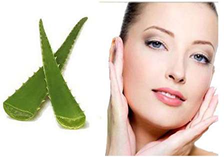 خواص آلوورا برای پوست چیست؟