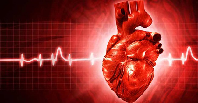 عکس ضربان قلب - روزه و بیماری های قلبی