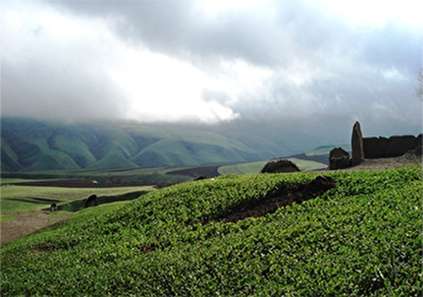 سفر به دشت مغان اردبیل؛ سرزمین تاریخ و طبیعت