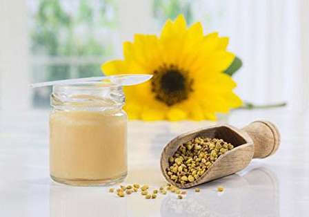 درباره ژل رویال یا همان اکسیر جوانی چه می دانید؟
