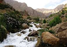 چشمه میشی در منطقه خاص و طبیعی سی سخت