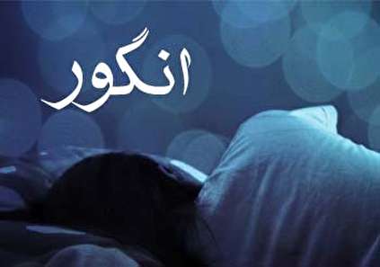 تعبیر خواب انگور - دیدن انگور در خواب چه تعبیری دارد؟