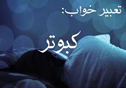 تعبیر خواب کبوتر- دیدن کبوتر در خواب چه تعبیری دارد؟