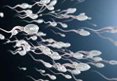افزایش اسپرم با چند راهکار ساده