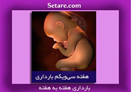 هفته سی و یکم بارداری - خطر زایمان زودرس