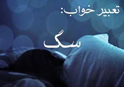 تعبیر خواب سگ - معنی دیدن سگ در خواب چیست؟