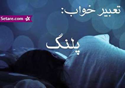 تعبیر خواب پلنگ - دیدن پلنگ در خواب چه تعبیری دارد؟