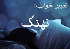تعبیر خواب نهنگ - دیدن نهنگ در خواب چه تعبیری دارد؟