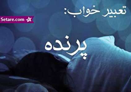 تعبیر خواب پرنده - دیدن پرنده در خواب چه تعبیری دارد؟