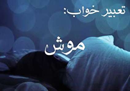 تعبیر خواب موش - معنی دیدن موش در خواب چیست؟