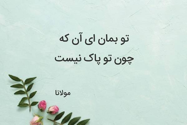 شعر مولانا