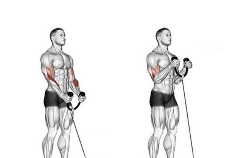 جلو بازو سیم کش چکشی