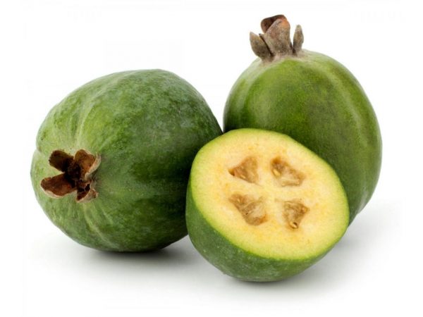 طبع میوه فیجوا