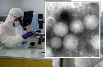 ماجرای شناسایی ویروس جدید یزو در ژاپن