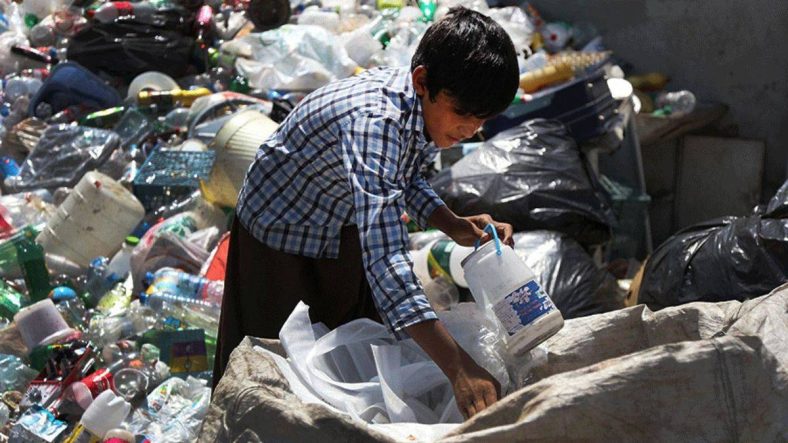 زباله گردی رقم سود زباله