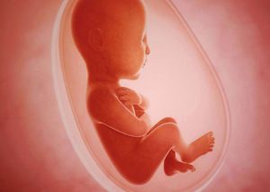 در چه صورتی می‌توان سقط جنین کرد