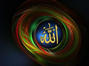 بیوگرافی داوود رشیدی