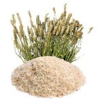 خواص اسفرزه