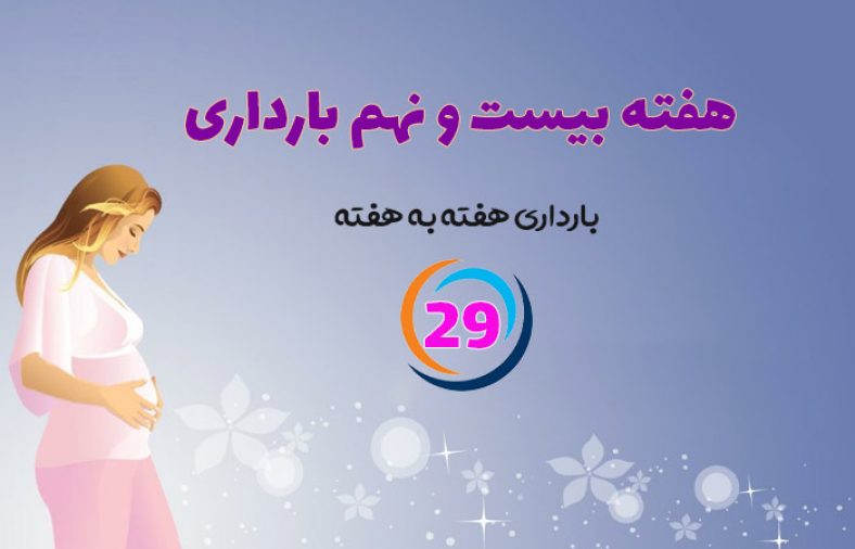 هفته بیست و نهم بارداری