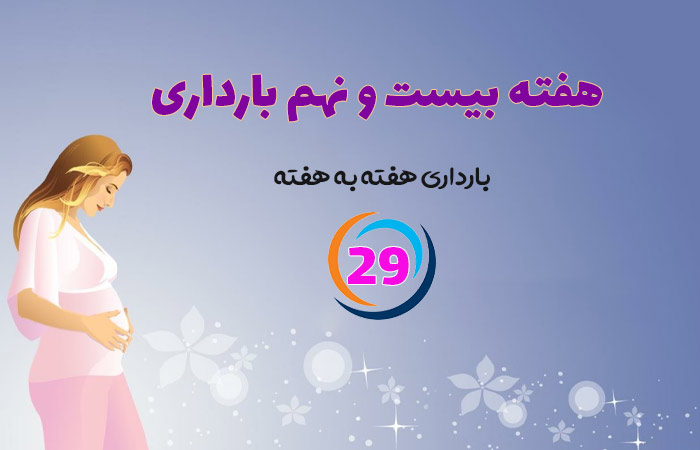 هفته بیست و نهم بارداری