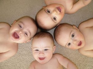 چند قلوزایی