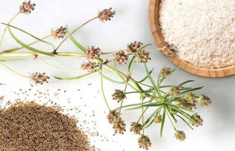 طریقه مصرف اسفرزه