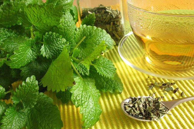 طرز تهیه دمنوش بادرنجبویه