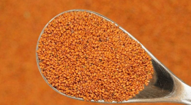 خواص خاکشیر برای یبوست