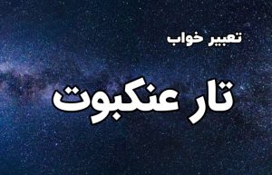 تعبیر خواب تارعنکبوت