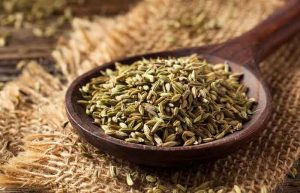 رازیانه و لاغری