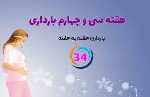 هفته سی و چهارم بارداری