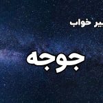 تعبیر خواب جوجه