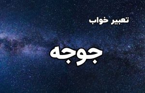 تعبیر خواب جوجه