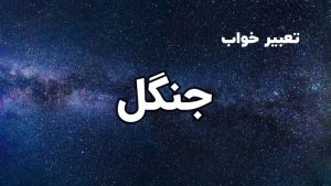 تعبیر خواب جنگل