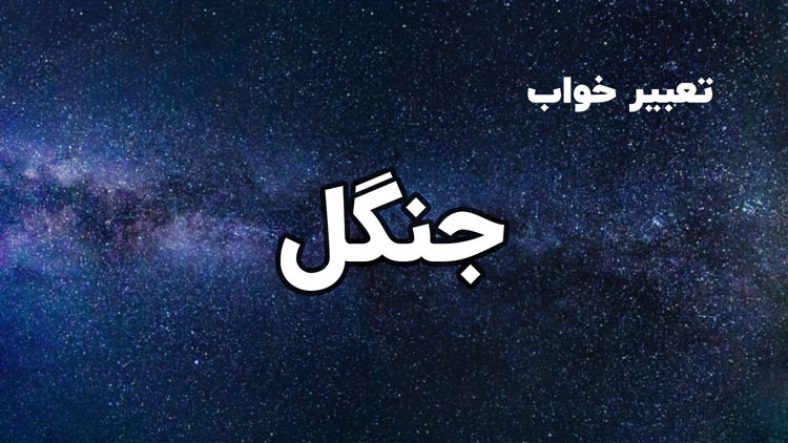 تعبیر خواب جنگل