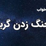 تعبیر خواب چنگ زدن گربه