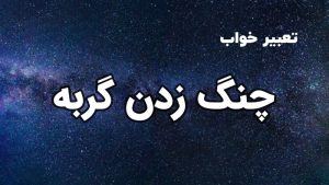 تعبیر خواب چنگ زدن گربه