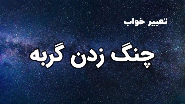 تعبیر خواب چنگ زدن گربه